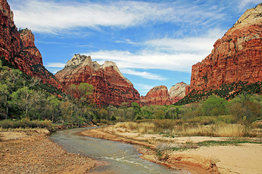 View Of The Virgin River 2 Photograph