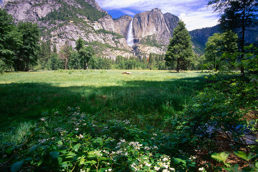 Landscape Photograph - View of the Yosemite Valley  by George Oze