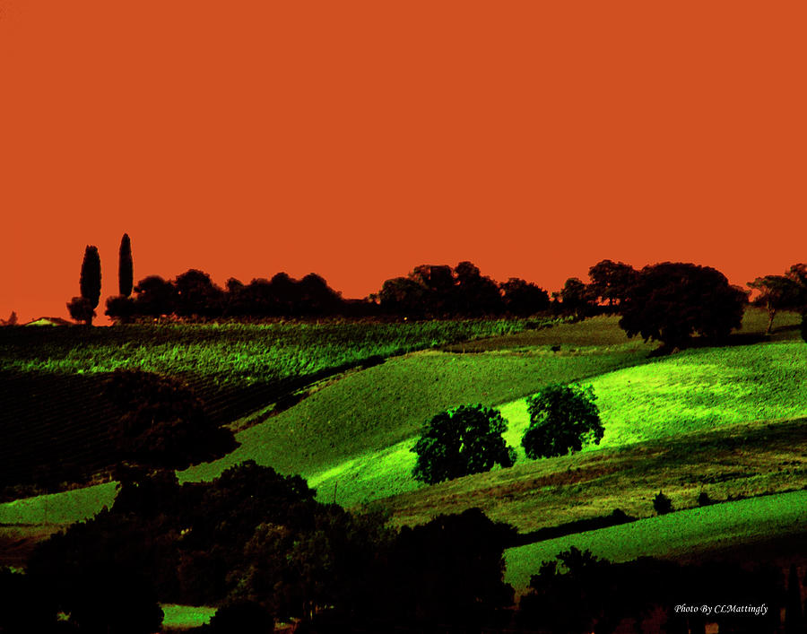 Abstract Photograph - View of Tuscany by Coke Mattingly