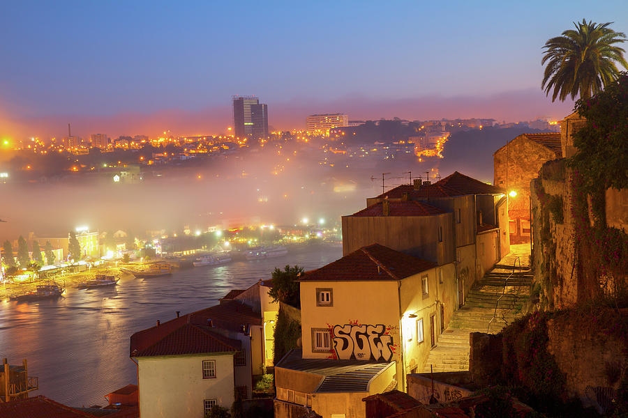 View of Villa Nova di GayaVilla  of Porto Photograph by Anastasy Yarmolovich