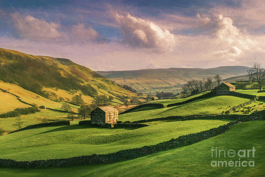 View Of Wensleydale, Yorkshire Dales National Park, Yorkshire, England UK Photograph by Philip Preston