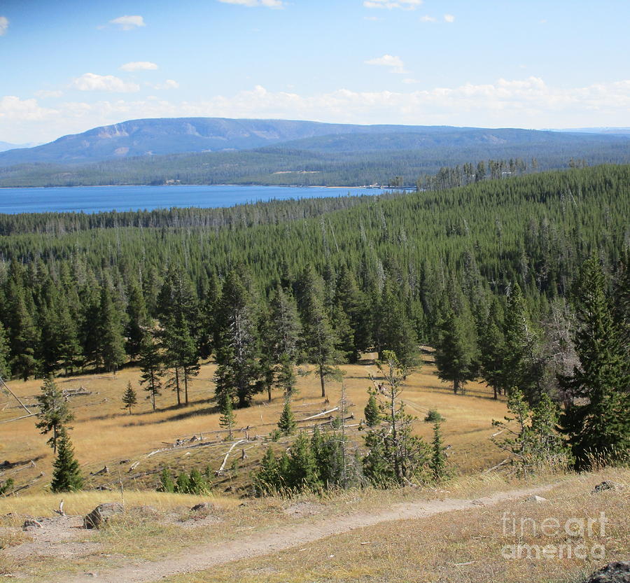 View of Yellowstone Lake from top of trail Photograph by Marie Neder