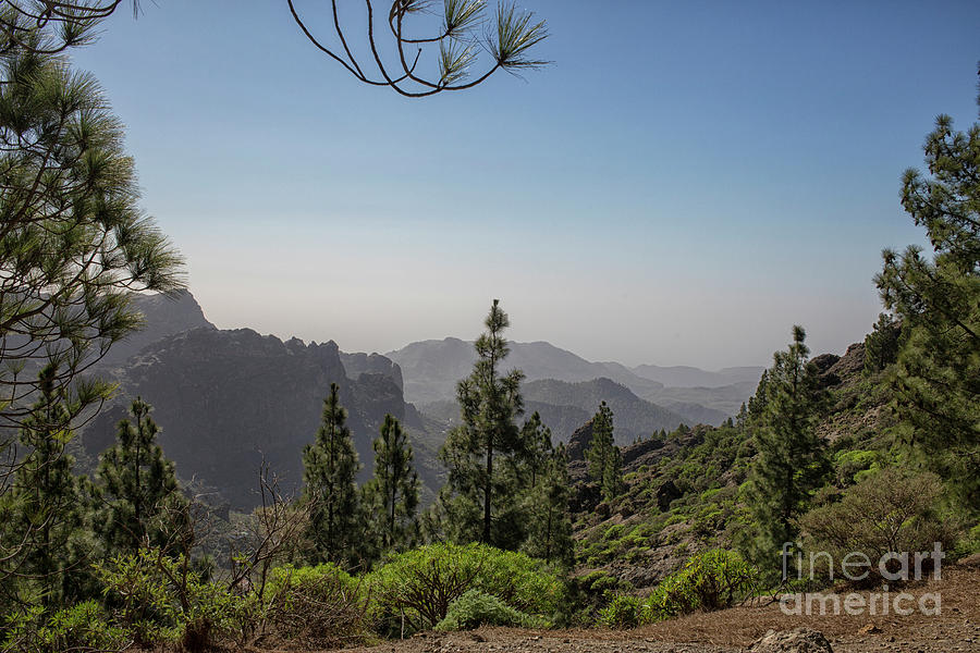 Nature Photograph - View on landscape Gran Canaria by Patricia Hofmeester