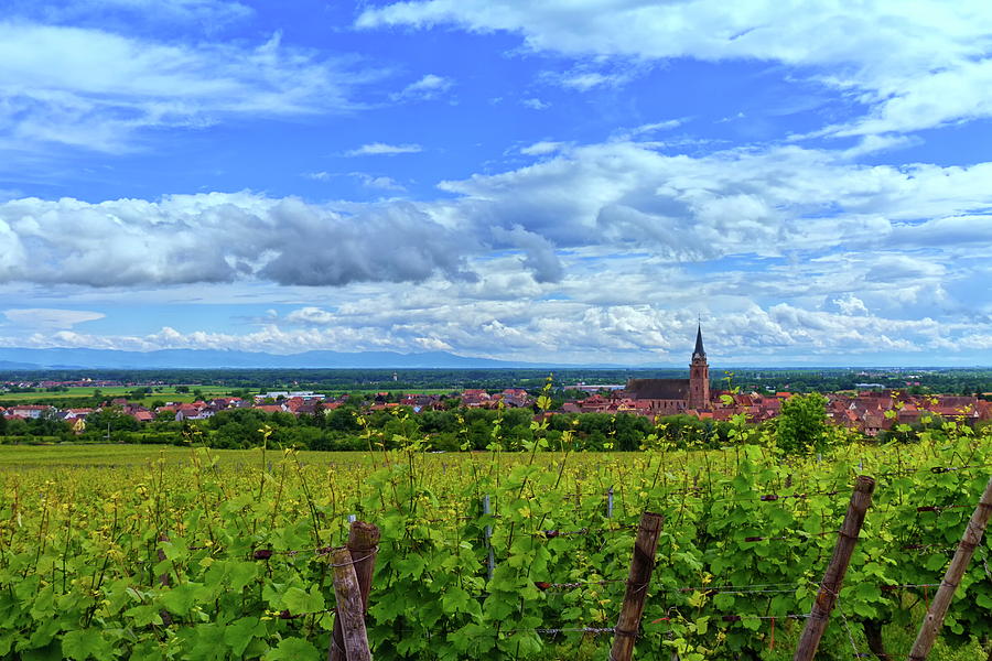 View on Saint-Hyppolyte and vineyard, Alsace, France Photograph by Elenarts - Elena Duvernay photo