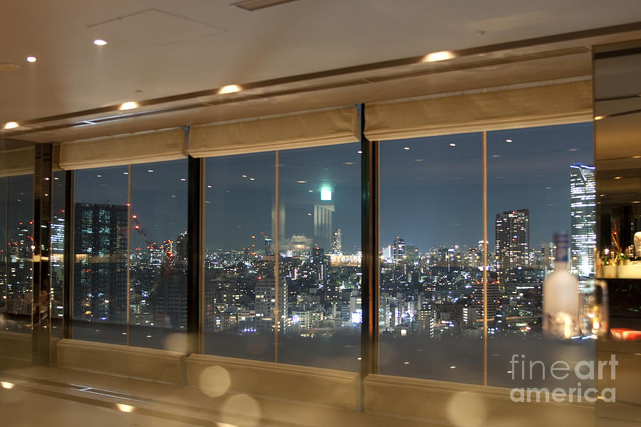 View on Tokyo cityscape Photograph by Patricia Hofmeester