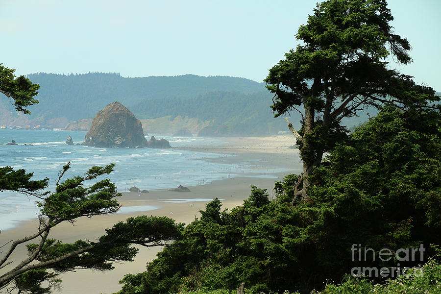 View Over Cannon Beach  Photograph by Christiane Schulze Art And Photography