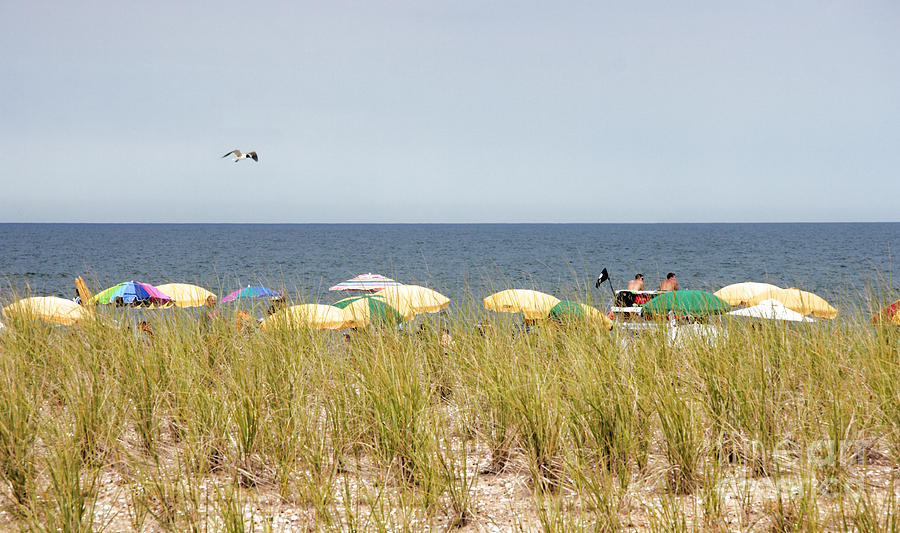 View Over the Barrier Dune at Bethany Beach in Delaware Photograph by William Kuta