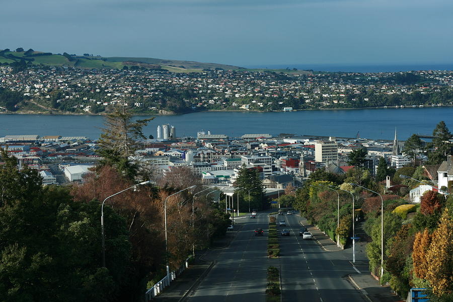 Dunedin Nz Photograph - View Stuart St To Waverly Dunedin NZ by Terry Perham