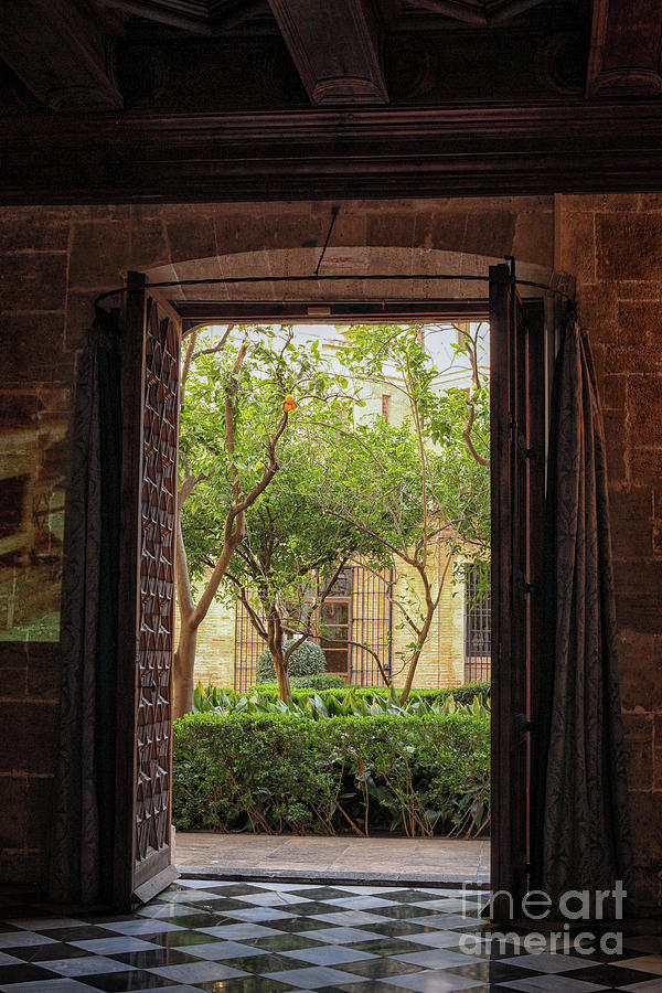 View through door at courtyard Photograph by Patricia Hofmeester