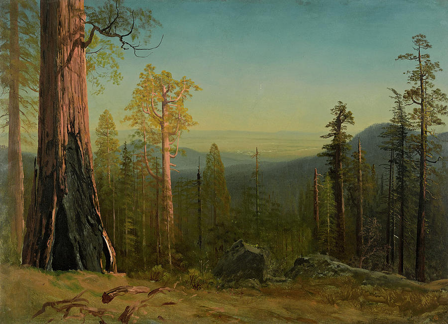 Albert Bierstadt Painting - View Through The Trees by Albert Bierstadt Albert Bierstadt Painting - View Through The Trees by Albert Bierstadt