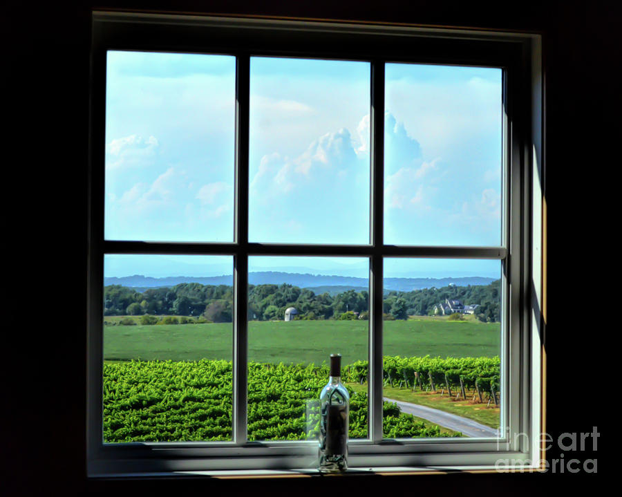 View Through The Window Photograph by Kerri Farley