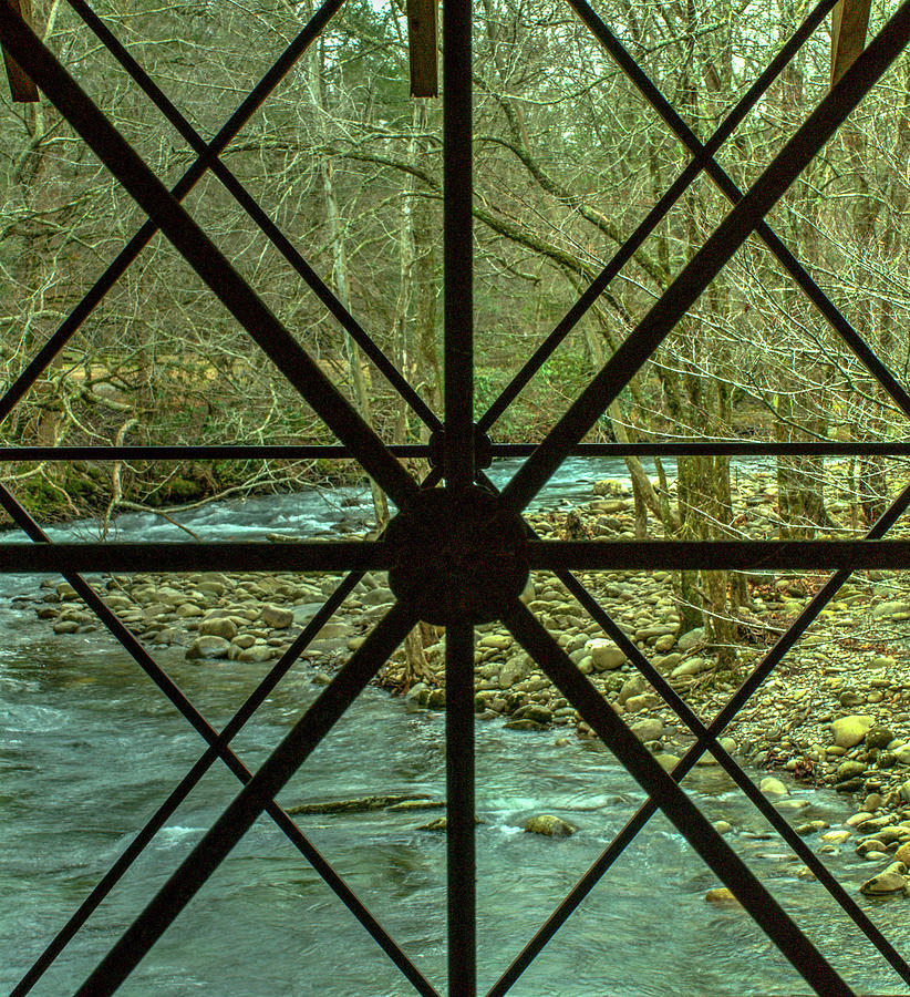 View Through Transect Window Photograph by Douglas Barnett
