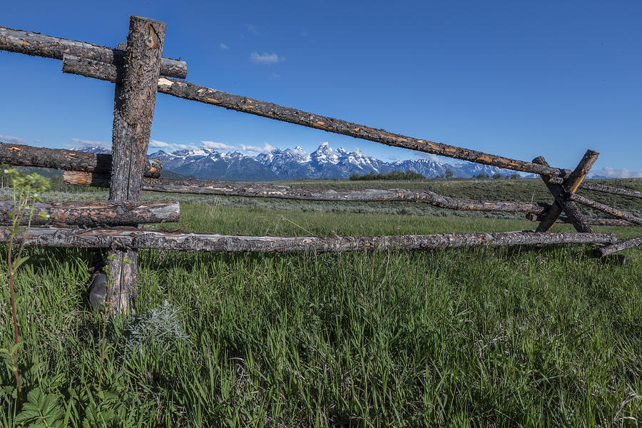 View Thru the Fence Photograph by Jon Glaser
