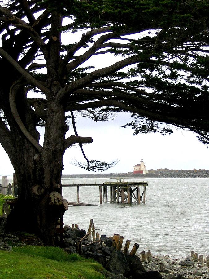 View To Coquille Lighthouse Photograph by Will Borden
