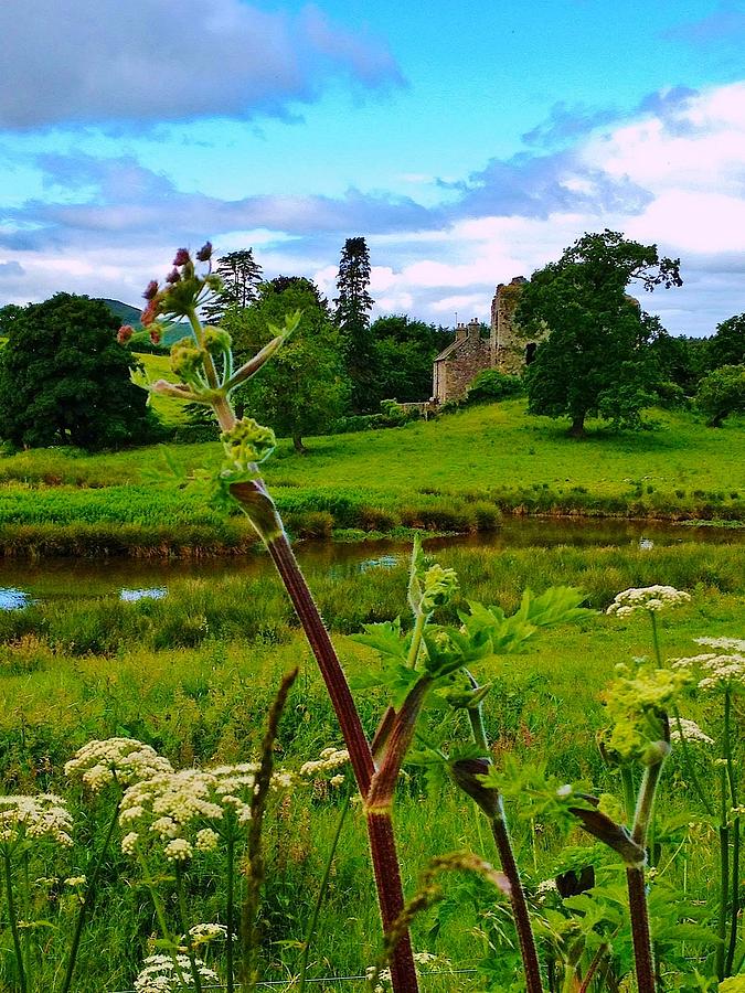 Landscape Photograph - View to Creich Castle by C Stephenson-Gibbs