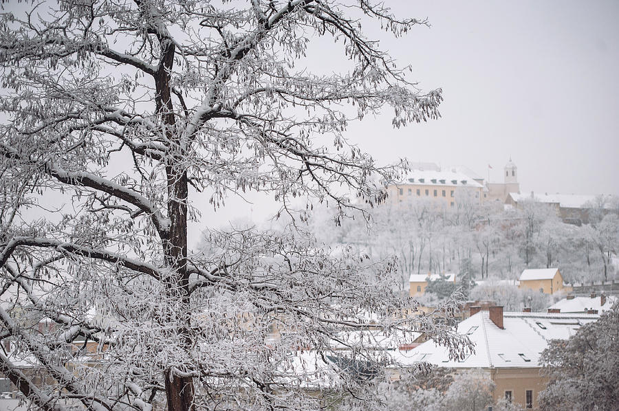 View to Spilberg Castle in Brno Photograph by Jenny Rainbow