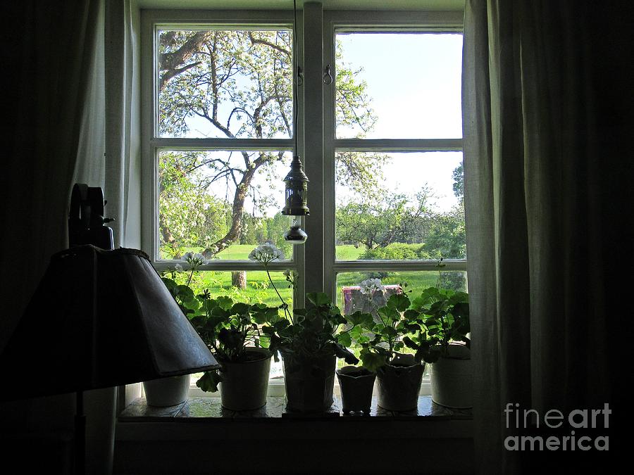 View to the garden Photograph by Chani Demuijlder