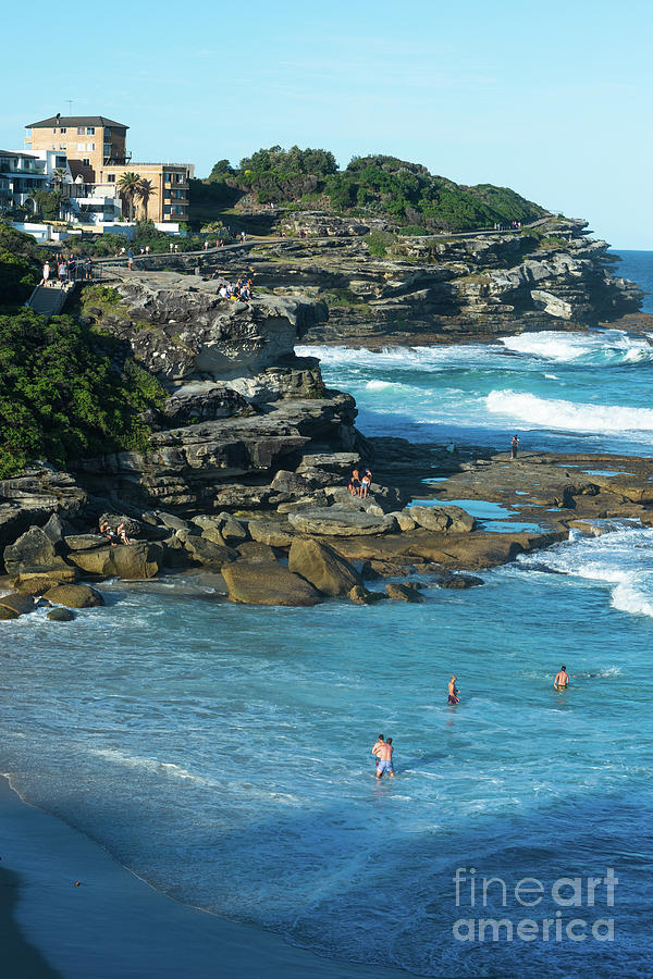 Views from the Bronte to Bondi coastal path Photograph by Andrew Michael