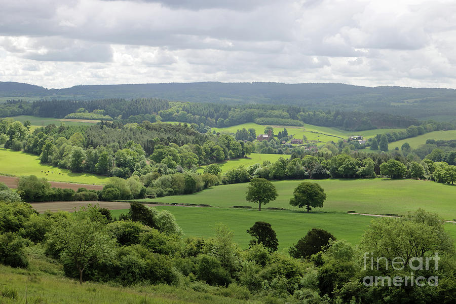 View of the Surrey Hills from Newlands Corner Photograph by Julia Gavin
