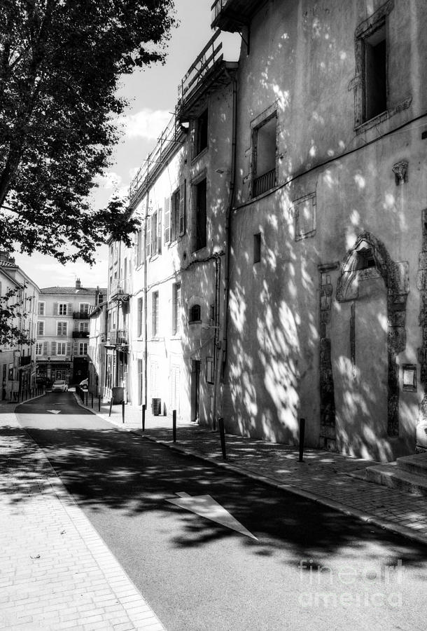 Tree Photograph - Views Of Vienne France 2 BW by Mel Steinhauer