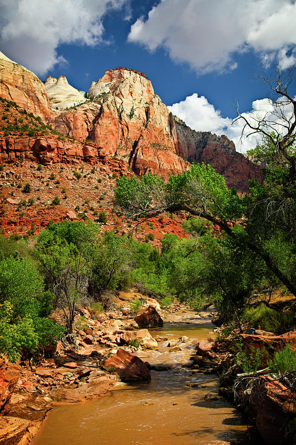Views of Zion NP part 1 Photograph by Levin Rodriguez
