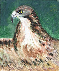 Eagle Painting - Vigilance  by Anne-Elizabeth Whiteway