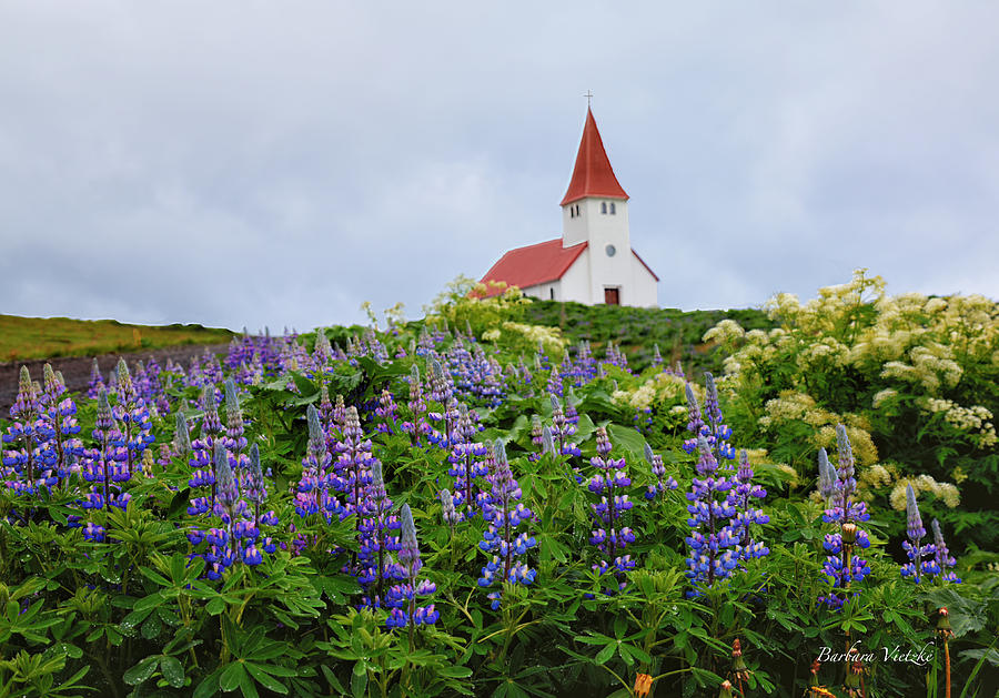 Chapel Photograph - Vik Chapel, Iceland by Barbara Vietzke