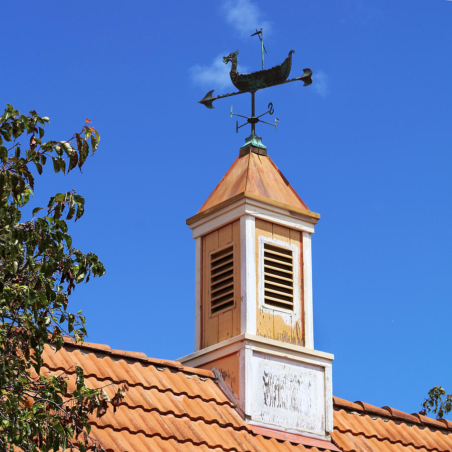 Viking Wind Vane Photograph by Art Block Collections