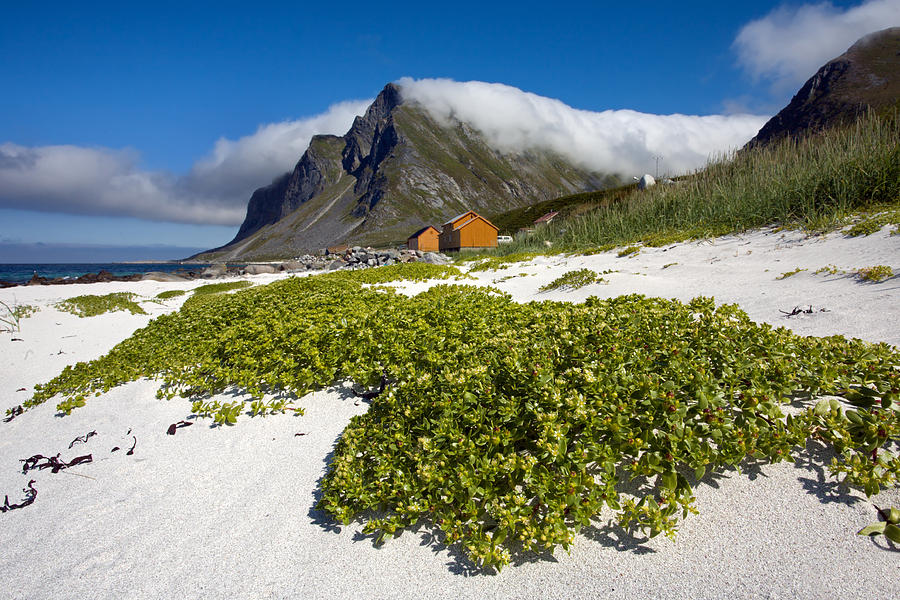 Vikten Beach with Green Grass and Clouds Photograph by Aivar Mikko