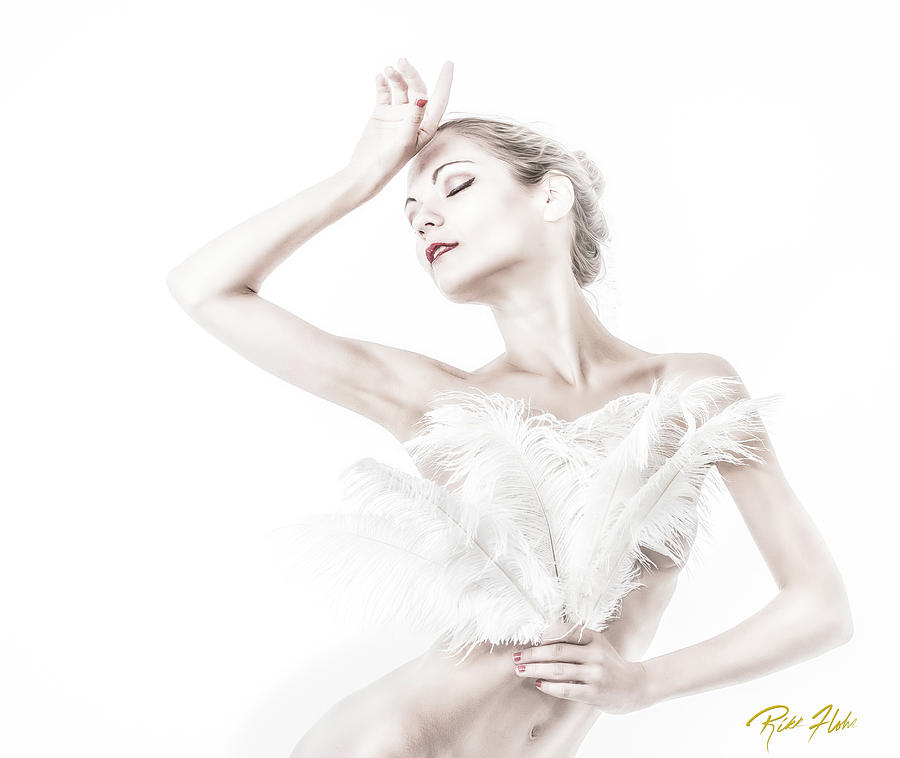 VikTory in White - Feathered Photograph by Rikk Flohr