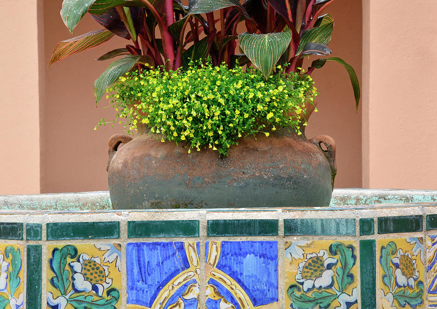 Villa Marianna Flower Pot Photograph by Bruce Gourley