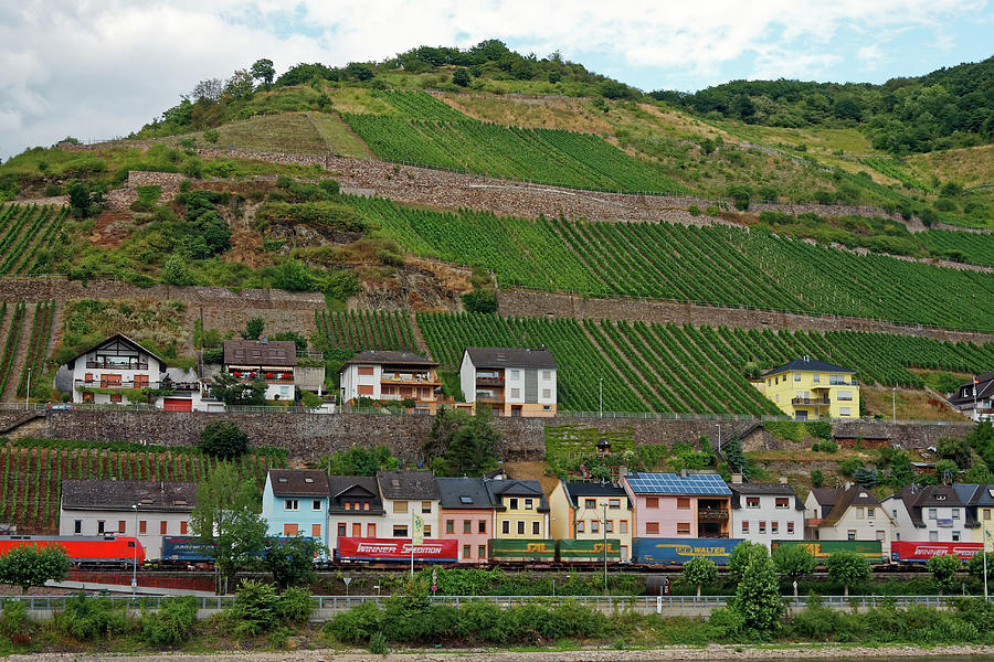 Village and Vineyards Photograph by Sally Weigand