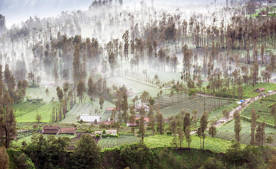 Village covered with mist Photograph by Pradeep Raja Prints