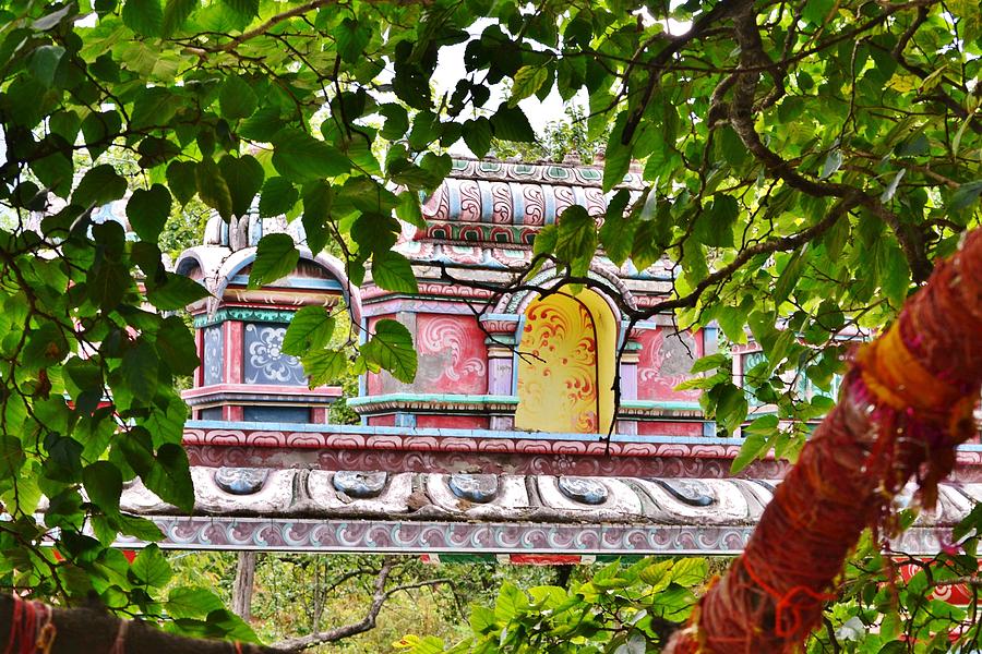 Village Gate Through Shankaras Mulberry Tree -  Joshi Math India Photograph by Kim Bemis