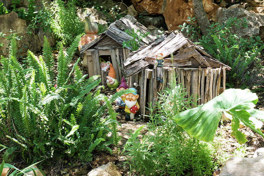 Village hidden garden gnomes Photograph by Mark Liapustin
