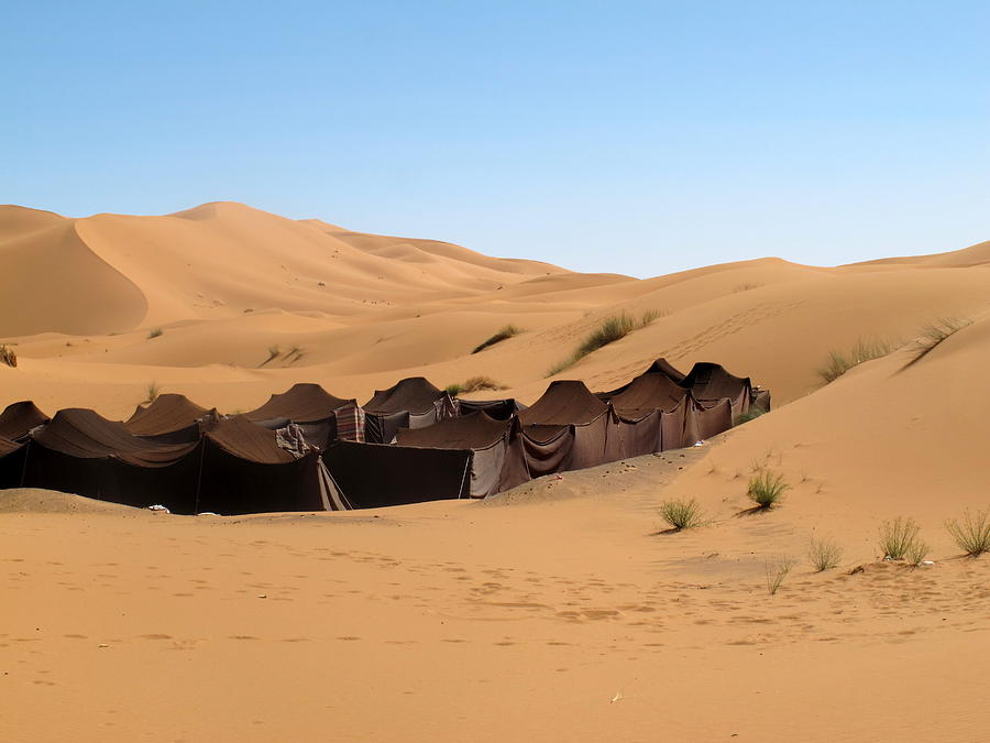 Village in Erg Chebbi Dunes Photograph by Cindy Kellogg - Fine Art America