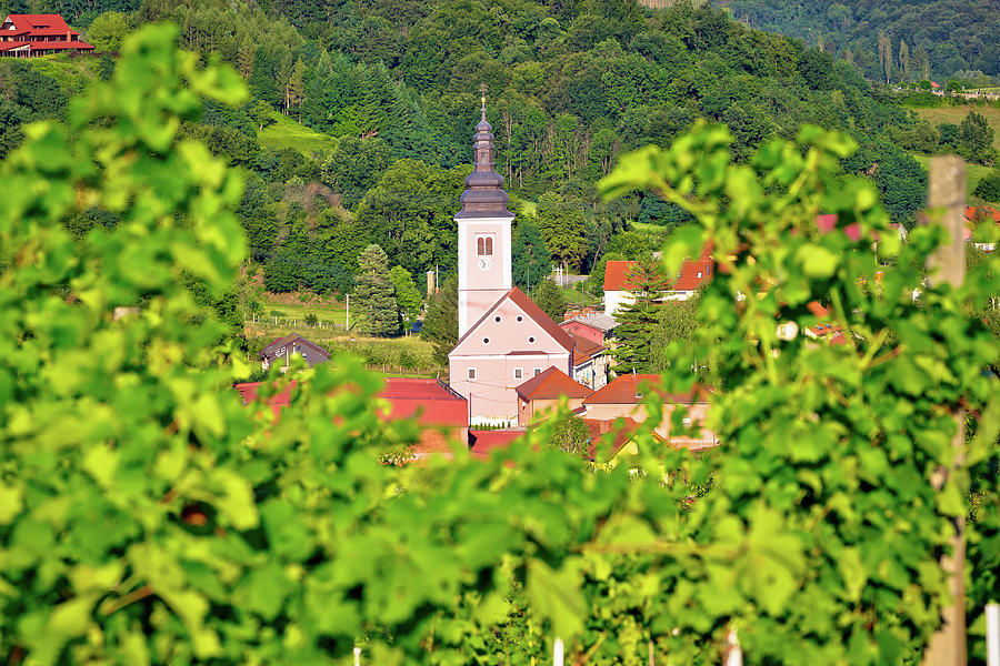 Village of Strigova towers and green landscape through vineyard  Photograph by Brch Photography