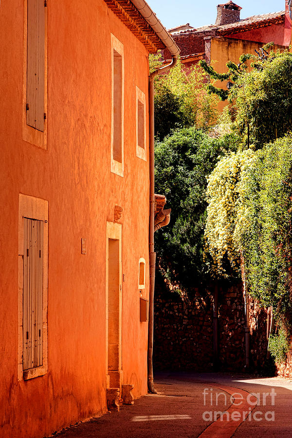Tree Photograph - Village Street in Provence by Olivier Le Queinec