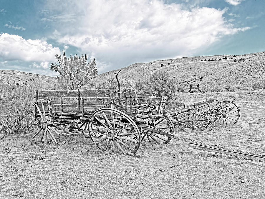 Vinage Wooden Wagon Black and White Photograph by Jennie Marie Schell