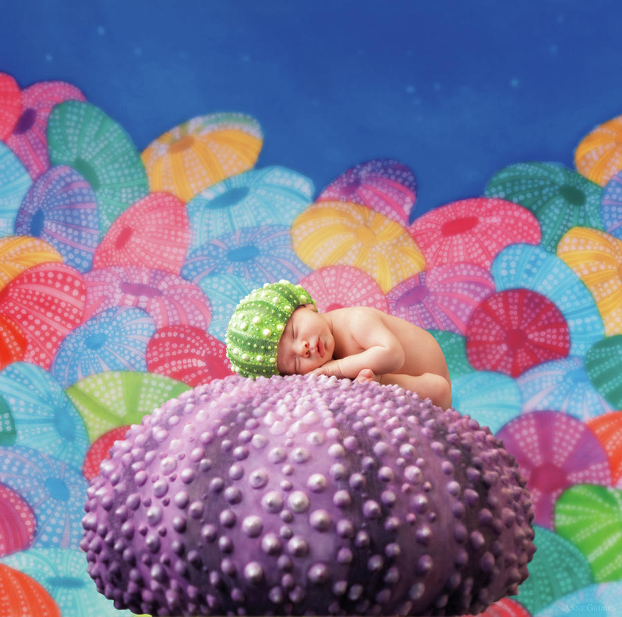 Under The Sea Photograph - Vince as a Sea Urchin by Anne Geddes