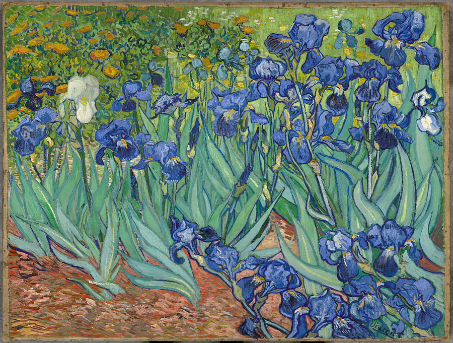 Vincent Van Gogh Painting - Vincent van Goghs Irises by Vintage Images