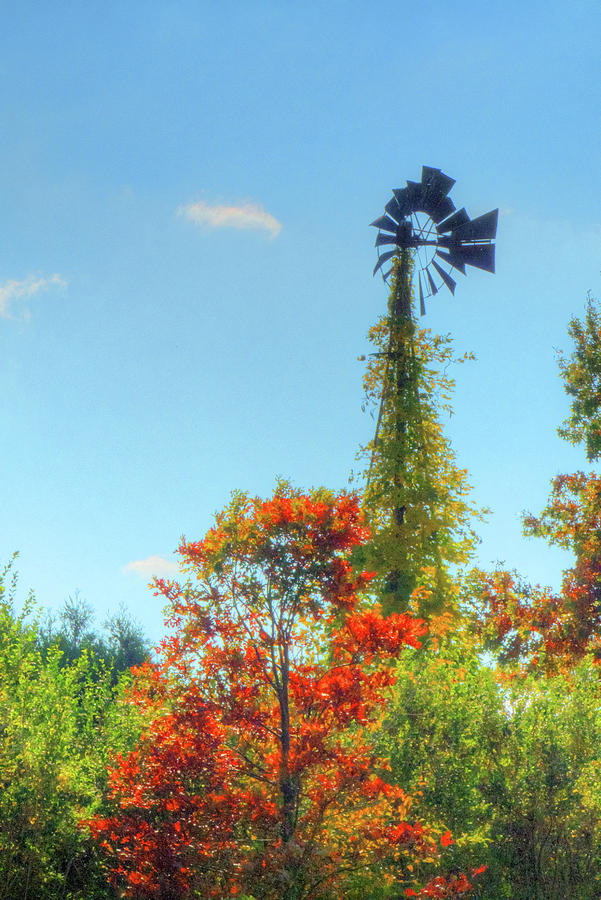Vine-Covered Farm Windmill Photograph by Deborah Smolinske