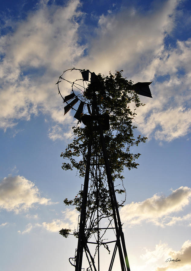 Vine Covered Windmill Photograph by Nathan Little