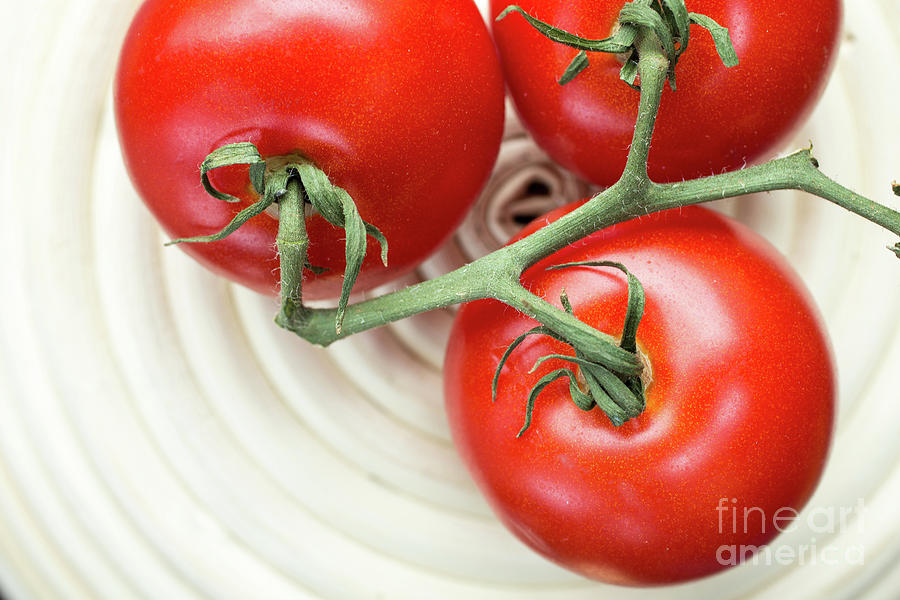 Vine Ripe Tomatos Photograph by Edward Fielding