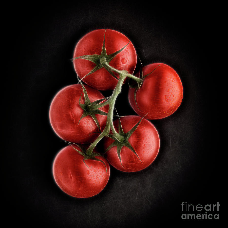 Vine ripened tomatoes. Digital Art by Phill Thornton