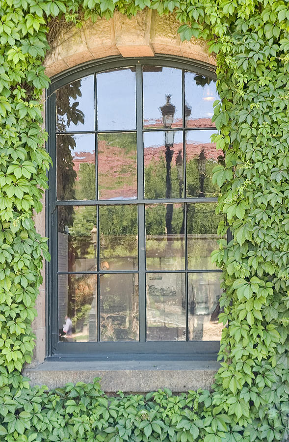 Vined Window II Photograph by Mark Harrington