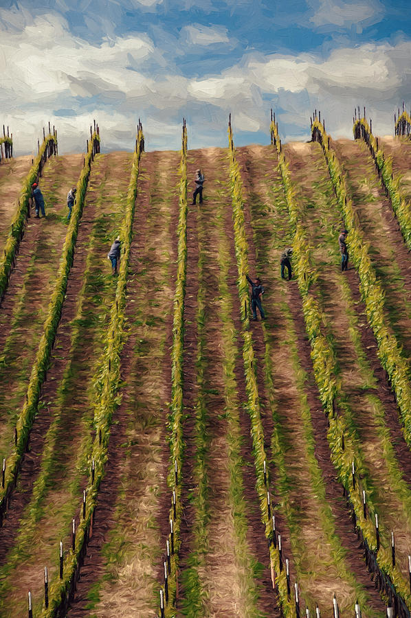 Vinedressers Photograph By John K Woodruff Fine Art America