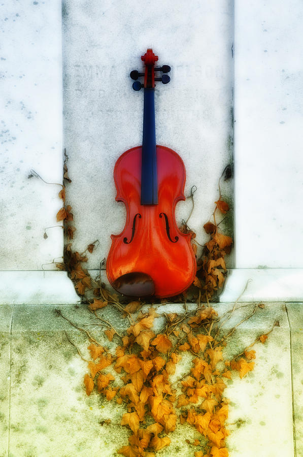 Vines and Violin Photograph by Bill Cannon
