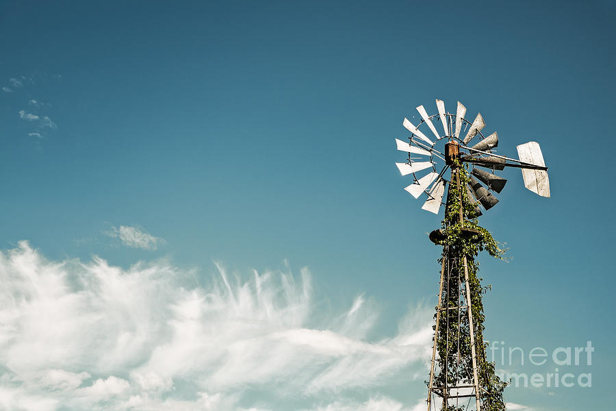 Vintage Photograph - Vines Growing Up a Windmill in Canada by Bryan Mullennix