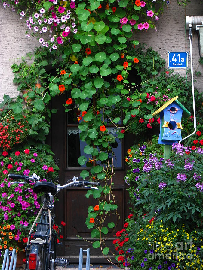 Vines over door Photograph by Jeff White - Fine Art America